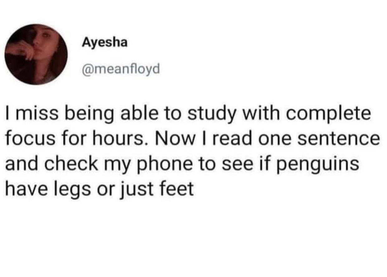 font - Ayesha I miss being able to study with complete focus for hours. Now I read one sentence and check my phone to see if penguins have legs or just feet