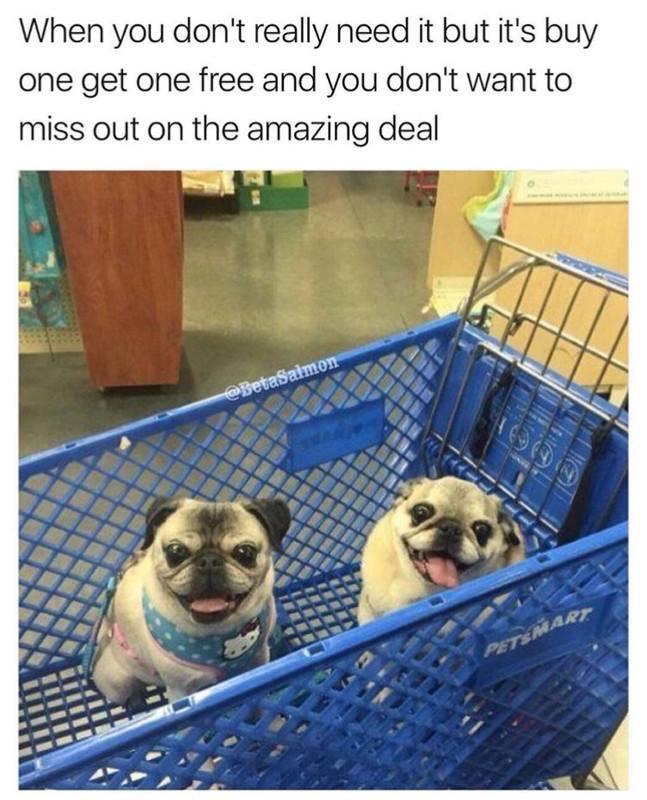 buy one get one free meme - When you don't really need it but it's buy one get one free and you don't want to miss out on the amazing deal Petsmart