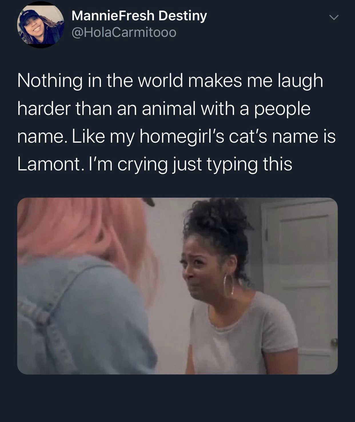 photo caption - Mannie Fresh Destiny Nothing in the world makes me laugh harder than an animal with a people name. my homegirl's cat's name is Lamont. I'm crying just typing this