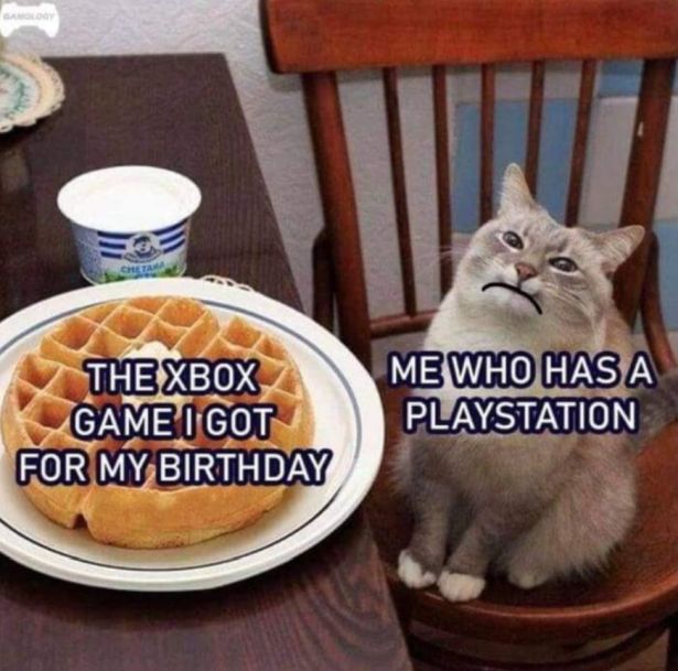 gaming memes - cat waffle compliment - Che The Xbox Game I Got For My Birthday Me Who Has A Playstation