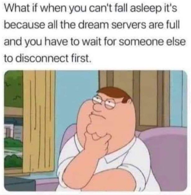 gaming memes - do twins ever realize that one of them was unplanned - What if when you can't fall asleep it's because all the dream servers are full and you have to wait for someone else to disconnect first