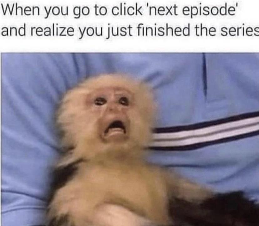 monkey meme - When you go to click 'next episode and realize you just finished the series