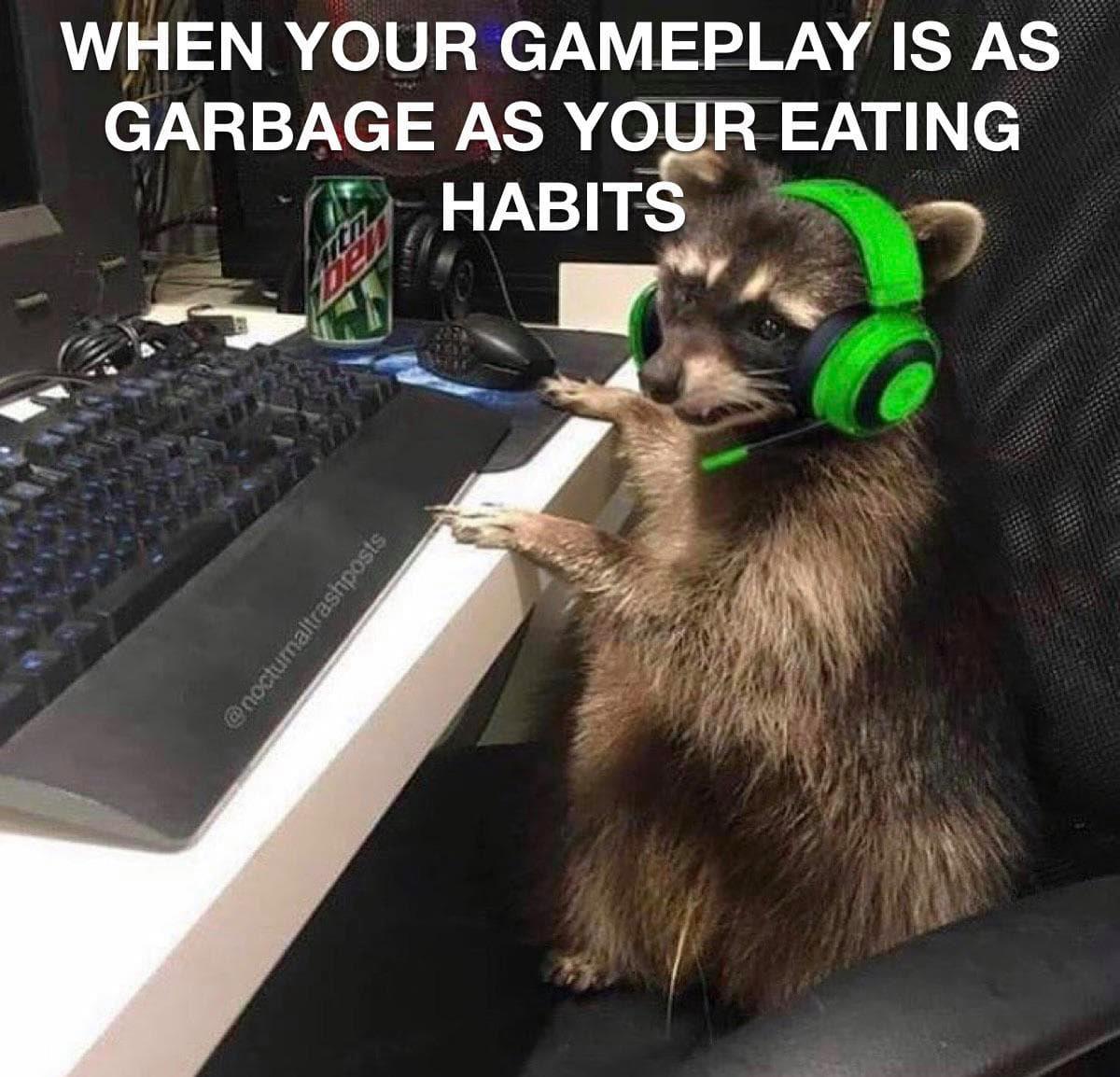 racoon meme - When Your Gameplay Is As Garbage As Your Eating Habits It Nie