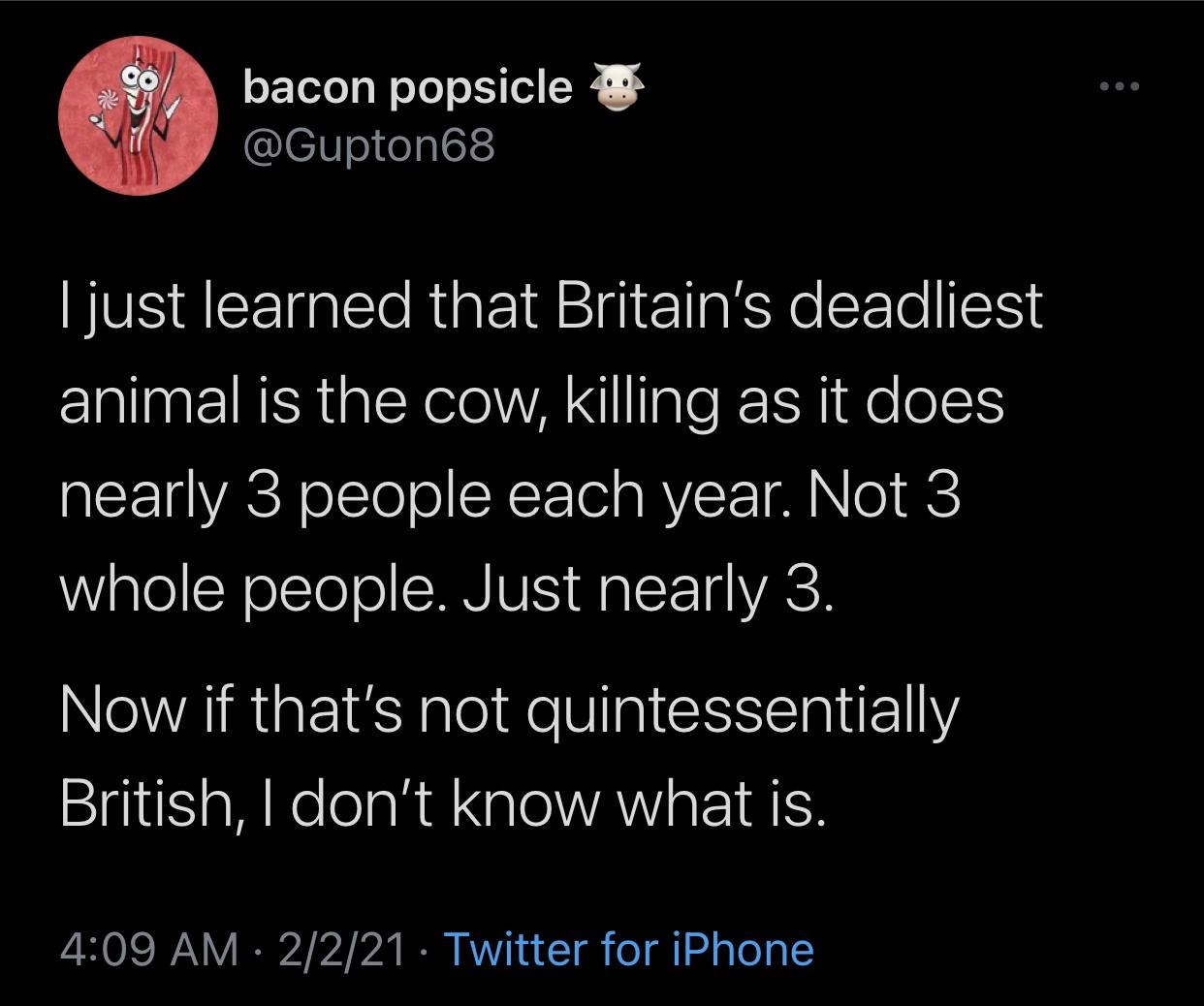 good night quotes - bacon popsicle I just learned that Britain's deadliest animal is the cow, killing as it does nearly 3 people each year. Not 3 whole people. Just nearly 3. Now if that's not quintessentially British, I don't know what is. 2221 Twitter f