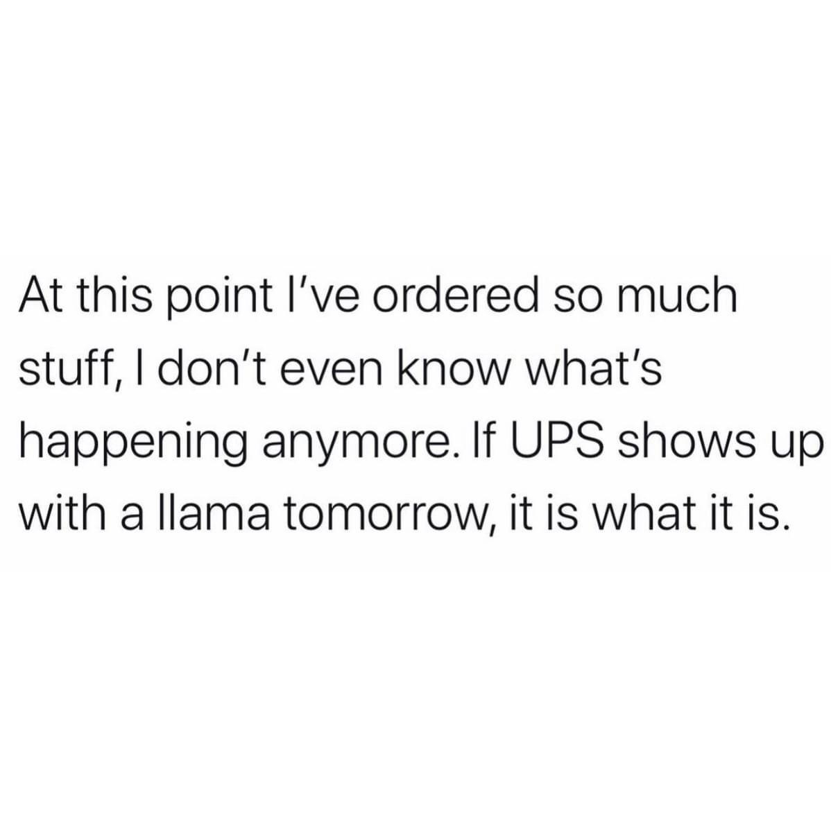 if your man isn t your biggest fan - At this point I've ordered so much stuff, I don't even know what's happening anymore. If Ups shows up with a llama tomorrow, it is what it is.