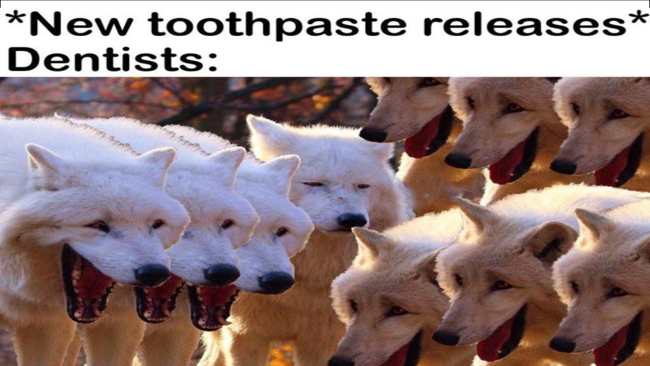 2 wolves laughing - New toothpaste releases Dentists