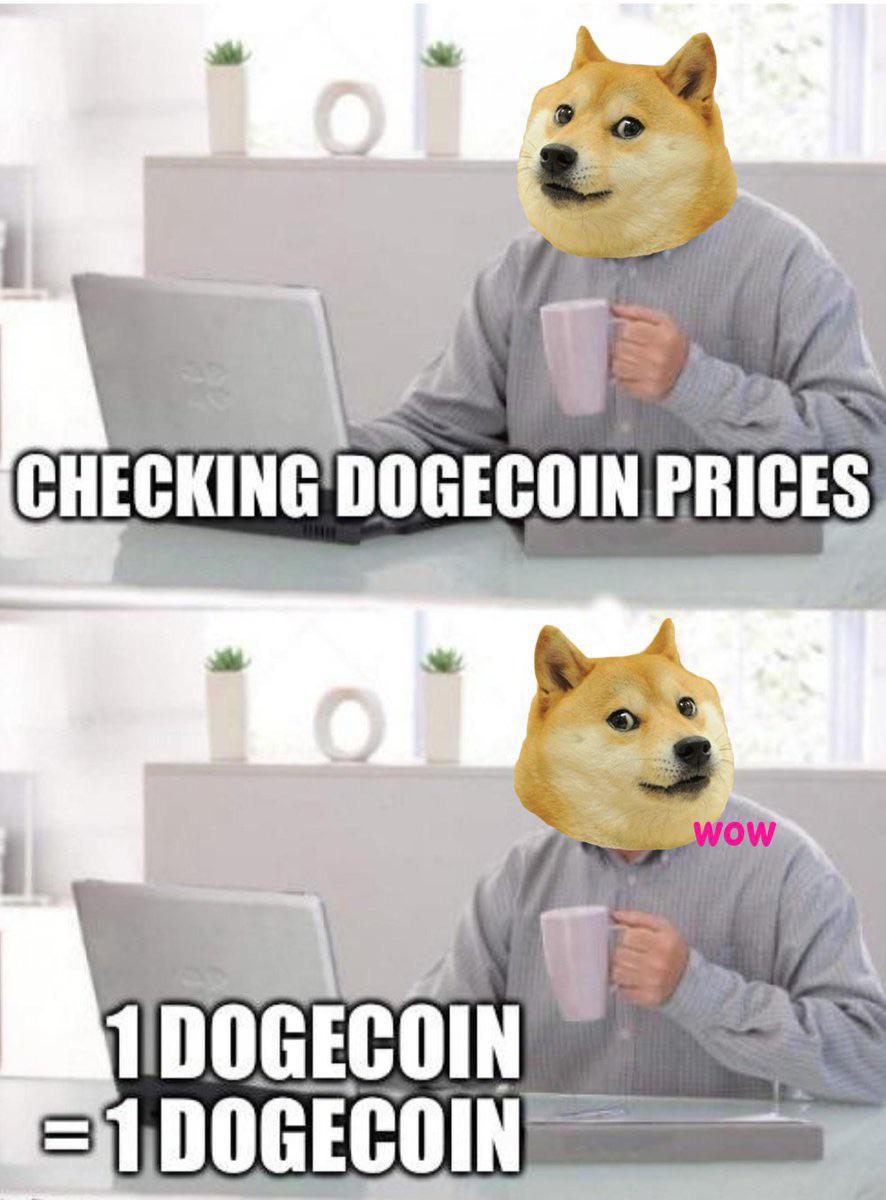 funny meme - Checking Dogecoin Prices Wow 1 Dogecoin 21 Dogecoin