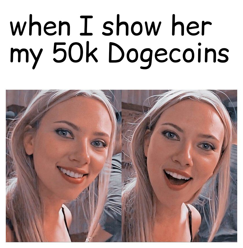 cream pie meme - when I show her my 50k Dogecoins