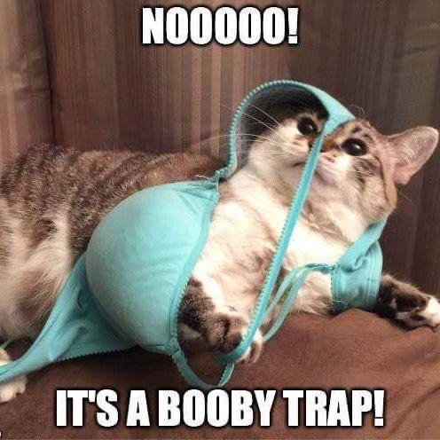 oh no its a booby trap - NO0000! It'S A Booby Trap!