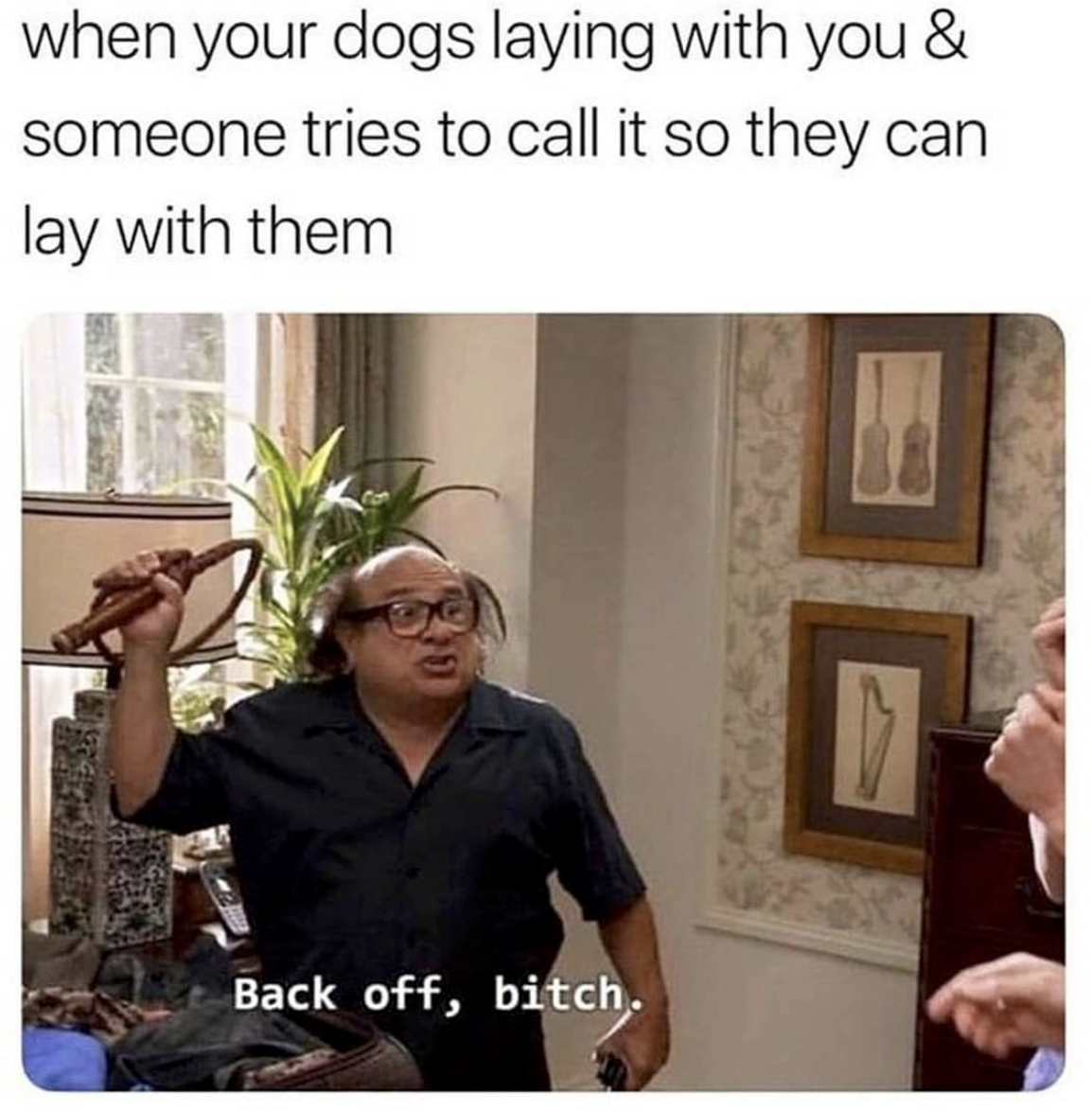 your dog is laying with you - when your dogs laying with you & someone tries to call it so they can lay with them Back off, bitch. ,