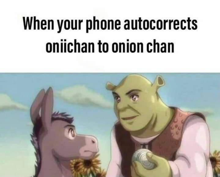 onion chan - When your phone autocorrects onjichan to onion chan