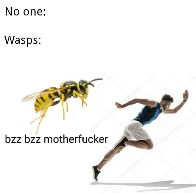 M. K. Gantt - No one Wasps bzz bzz motherfucker