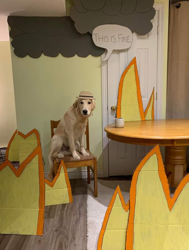 room - This Is Fine.