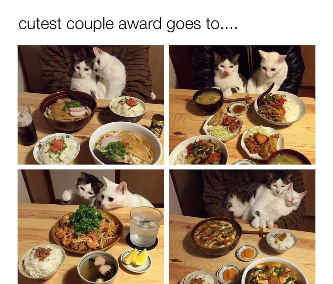 meal - cutest couple award goes to....
