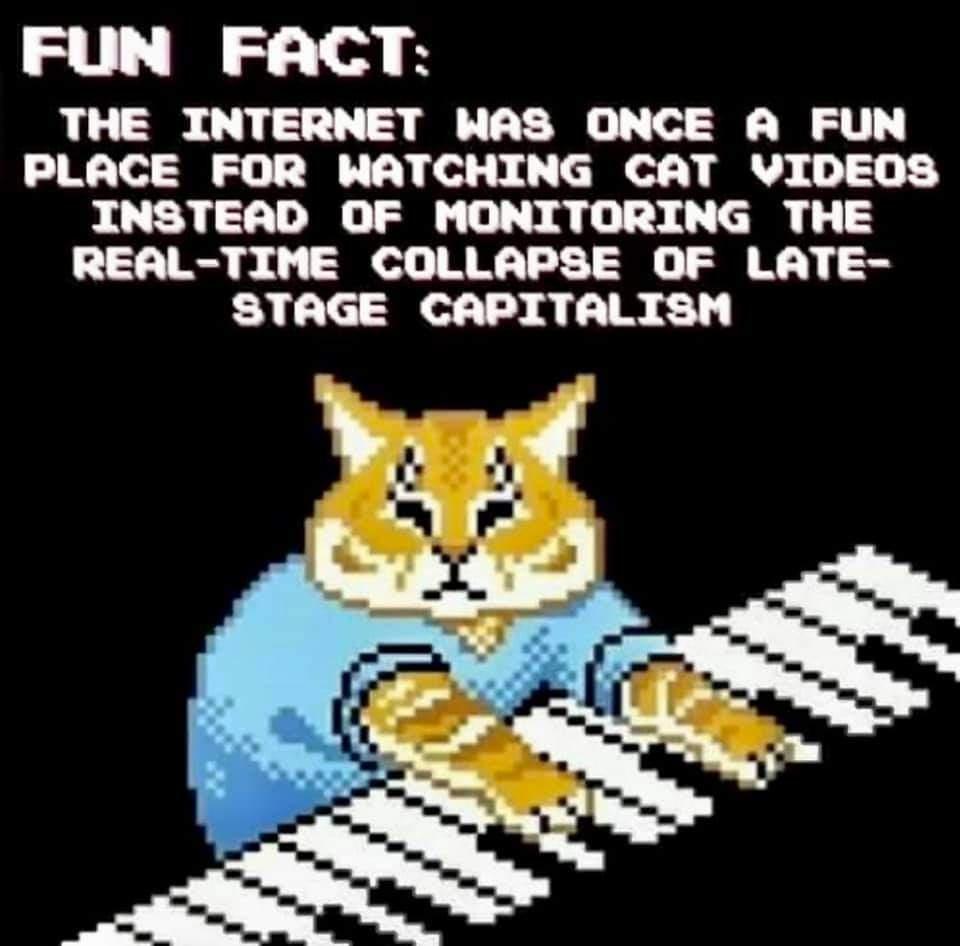 keyboard cat - Fun Fact The Internet Was Once A Fun Place For Watching Cat Videos Instead Of Monitoring The RealTime Collapse Of Late Stage Capitalism