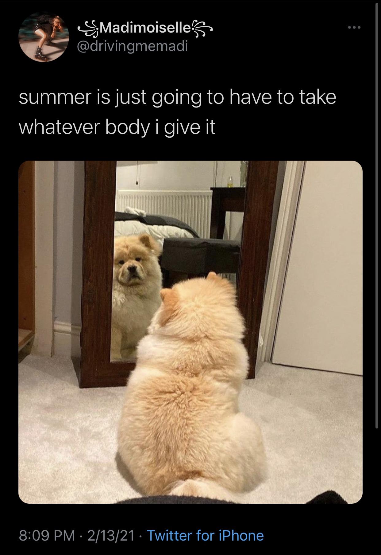 funny pics and memes - summer is just going to have to take whatever body i give it