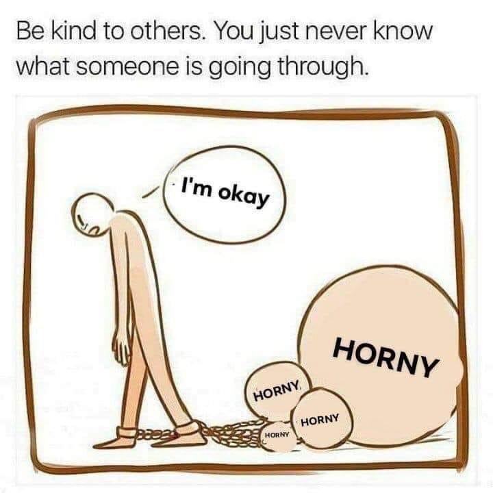 funny pics and memes - Be kind to others. You just never know what someone is going through. I'm okay Horny Horny Horny Horny