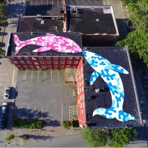funny pics and memes - dolphin murals on buildings kissing