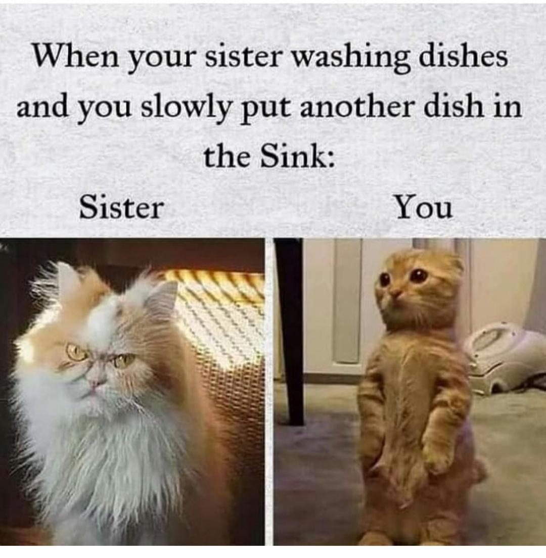 funny pics and memes - When your sister washing dishes and you slowly put another dish in the Sink Sister You