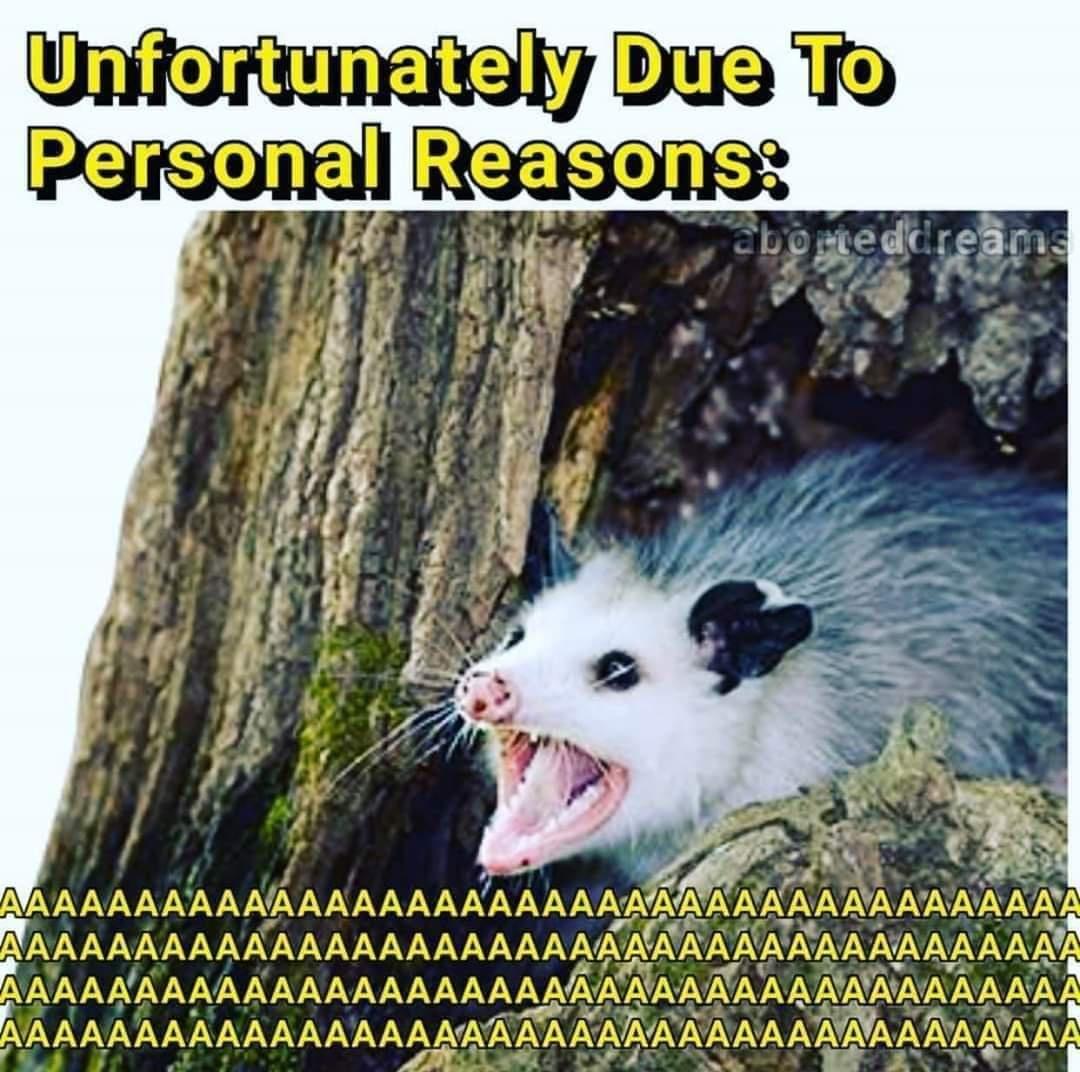 funny pics and memes - unfortunately due to personal reasons possum