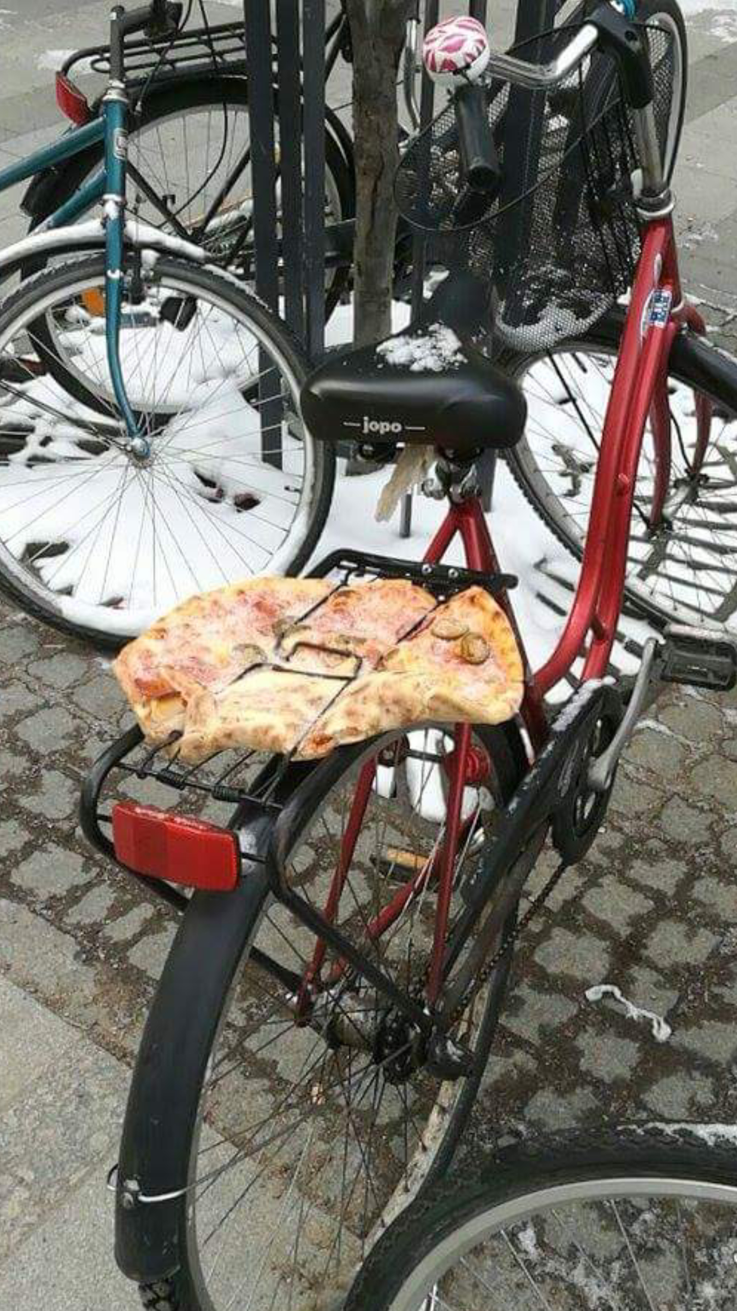 funny pics and memes - Pizza stuck on back of bicycle