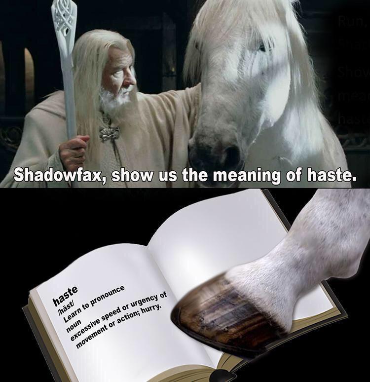 funny pics and memes - lord of the rings gandalf horse - excessive speed or urgency of movement or action; hurry. Shadowfax, show us the meaning of haste. haste Learn to pronounce noun