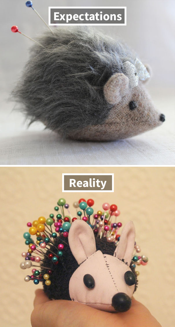 good expectations bad reality make hedgehog pin cushion - Expectations Reality