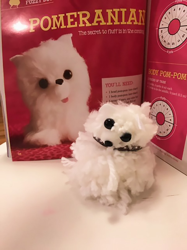 good expectations bad reality felt dog fail - Pomeranian The secret to fluff is in the amb Body PomPom You Ll Need este ade5m
