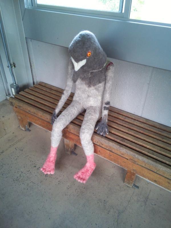 funny pics - creepy pigeon costume