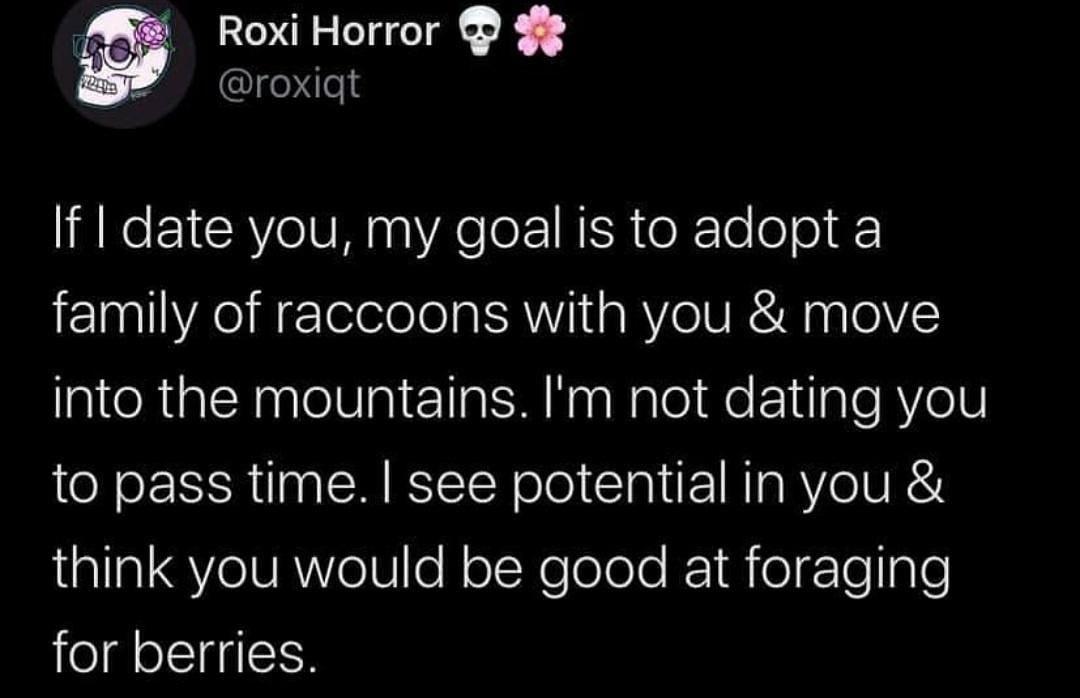 funny pics - If I date you, my goal is to adopt a family of raccoons with you & move into the mountains. I'm not dating you to pass time. I see potential in you & think you would be good at foraging for berries.