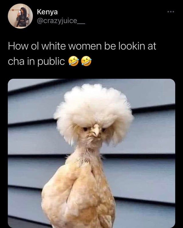 chicken karen - Kenya How ol white women be lookin at cha in public