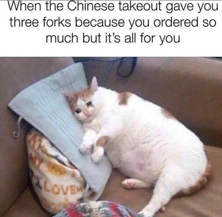 crying cat meme - When the Chinese takeout gave you three forks because you ordered so much but it's all for you Love