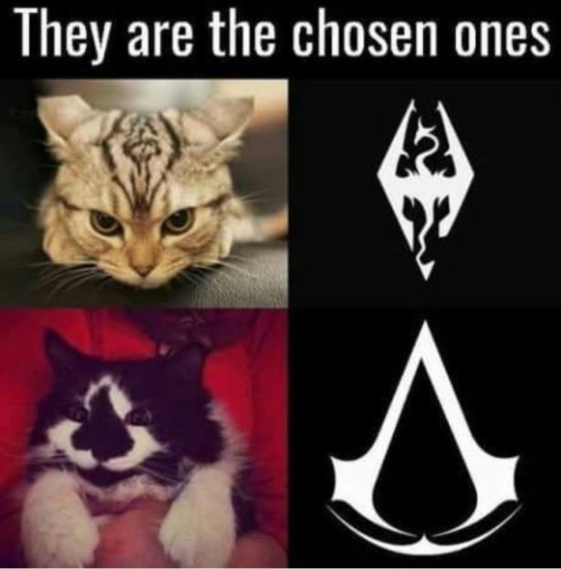 funny gaming memes -  assassins creed logo - They are the chosen ones