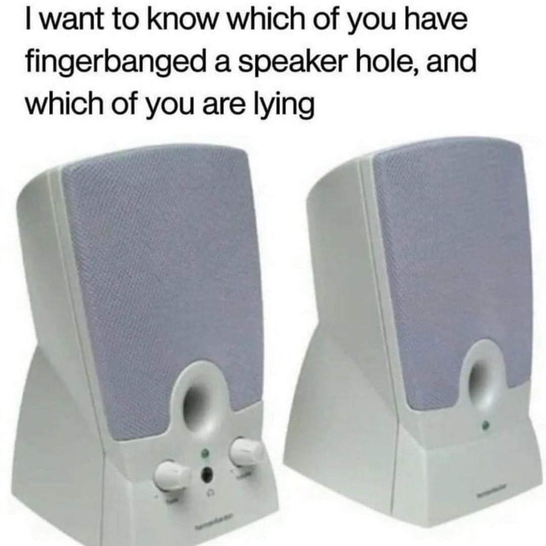 funny gaming memes - computer speaker - I want to know which of you have fingerbanged a speaker hole, and which of you are lying