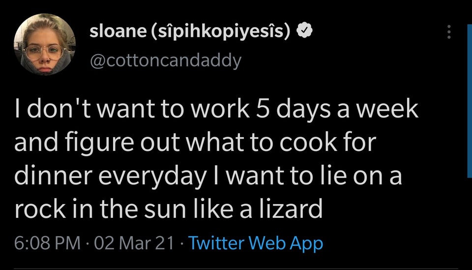 the funniest tweets - atmosphere - sloane spihkopiyess I don't want to work 5 days a week and figure out what to cook for dinner everyday I want to lie on a rock in the sun a lizard 02 Mar 21 Twitter Web App