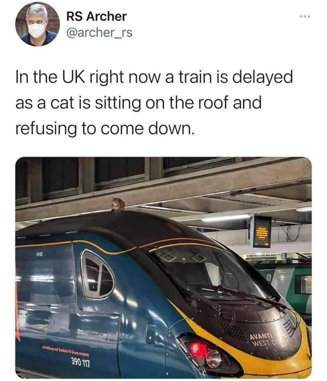 the funniest tweets - vehicle door - Rs Archer In the Uk right now a train is delayed as a cat is sitting on the roof and refusing to come down. 11 3 Avanti West Coast raathaththana 390 117