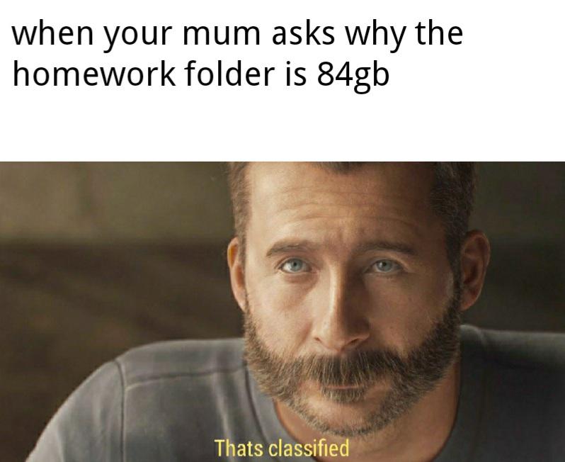 funny gaming memes - when your mum asks why the homework folder is 84gb Thats classified