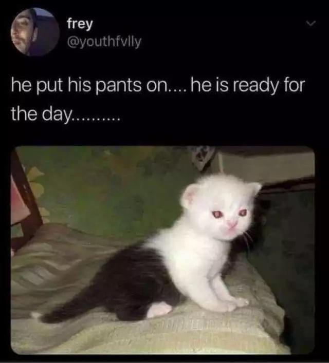 frey he put his pants on.... he is ready for the day.........