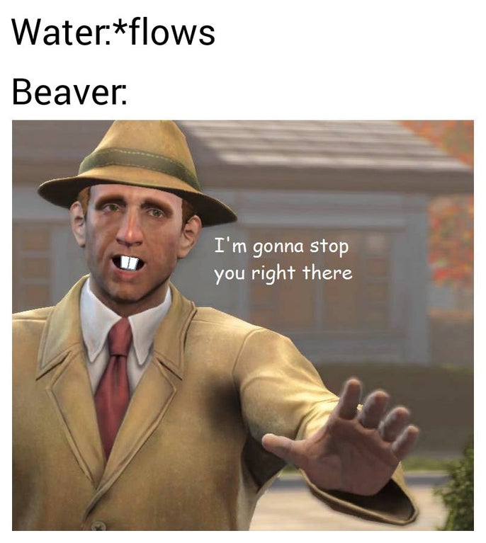 funny gaming memes - moth memes brother - Waterflows Beaver I'm gonna stop you right there