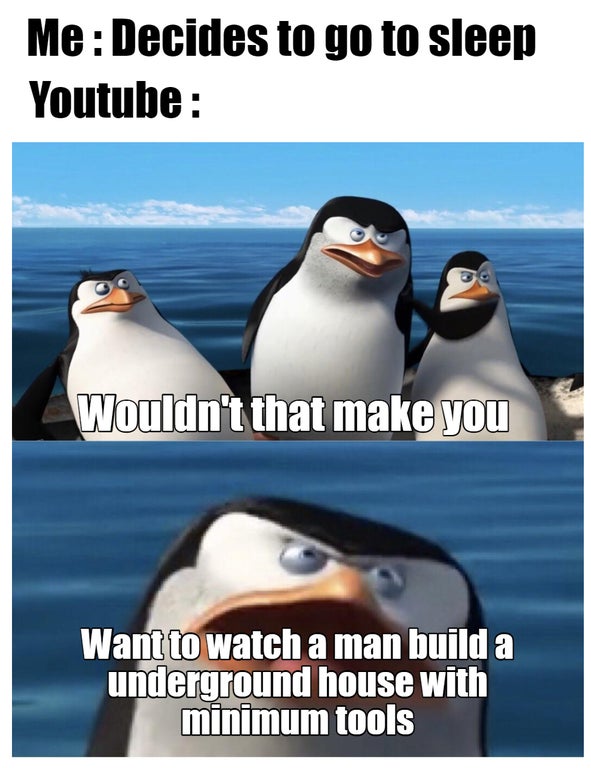 funny gaming memes - Me Decides to go to sleep Youtube Wouldn't that make you Want to watch a man build a underground house with minimum tools