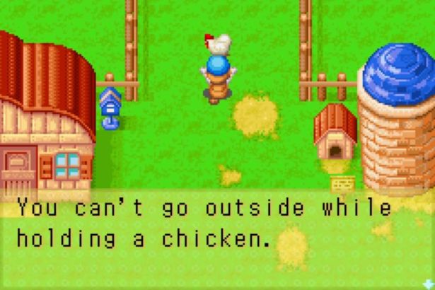 games - Ou You can't go outside while holding a chicken.