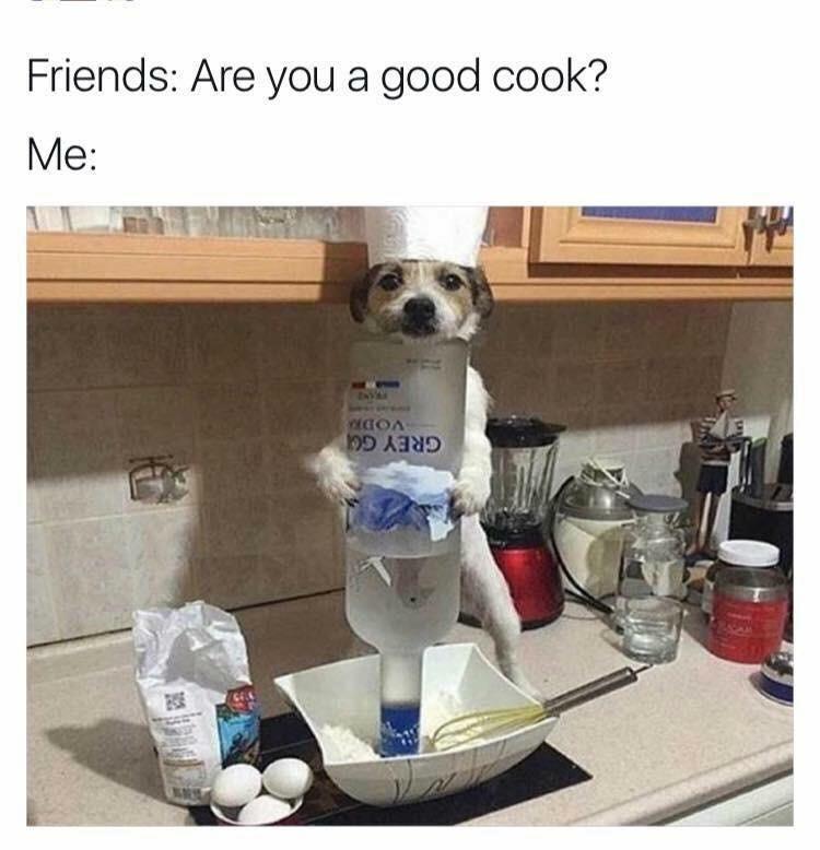 cooking skills meme - Friends Are you a good cook? Me Dd Kind