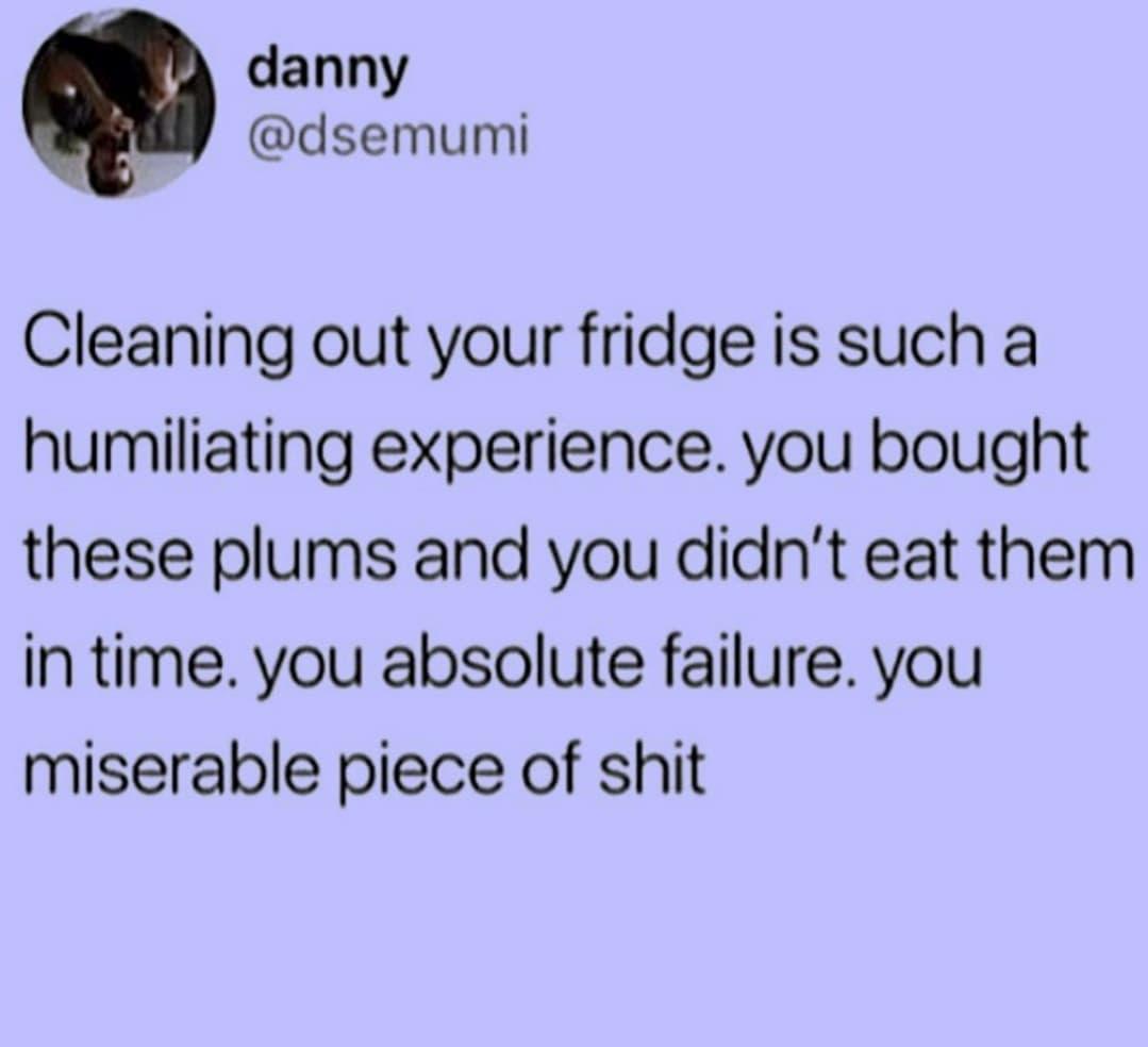 quotes - danny Cleaning out your fridge is such a humiliating experience. you bought these plums and you didn't eat them in time. you absolute failure. you miserable piece of shit