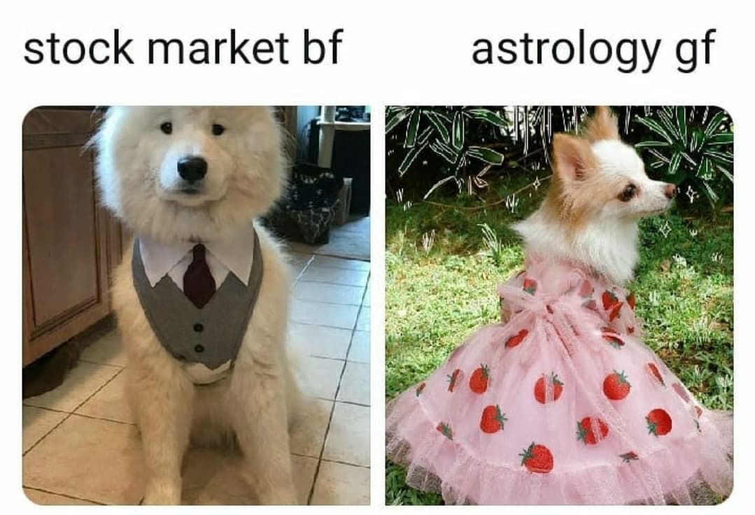 monday morning randomness - dog - stock market bf astrology gf
