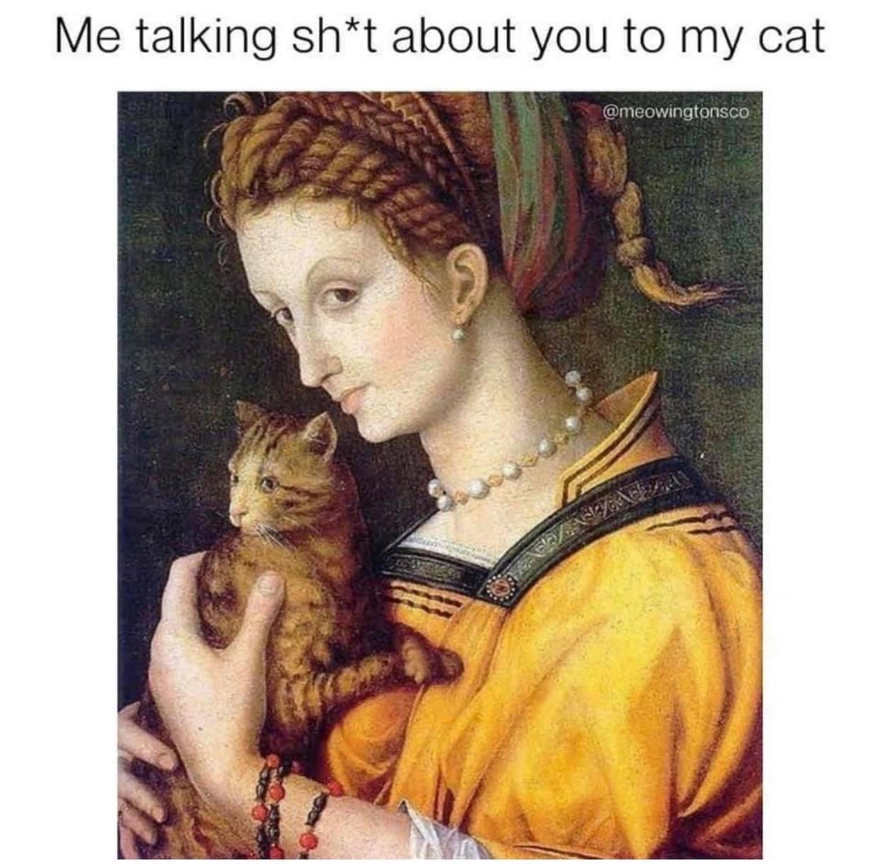 monday morning randomness - Cat - Me talking sht about you to my cat