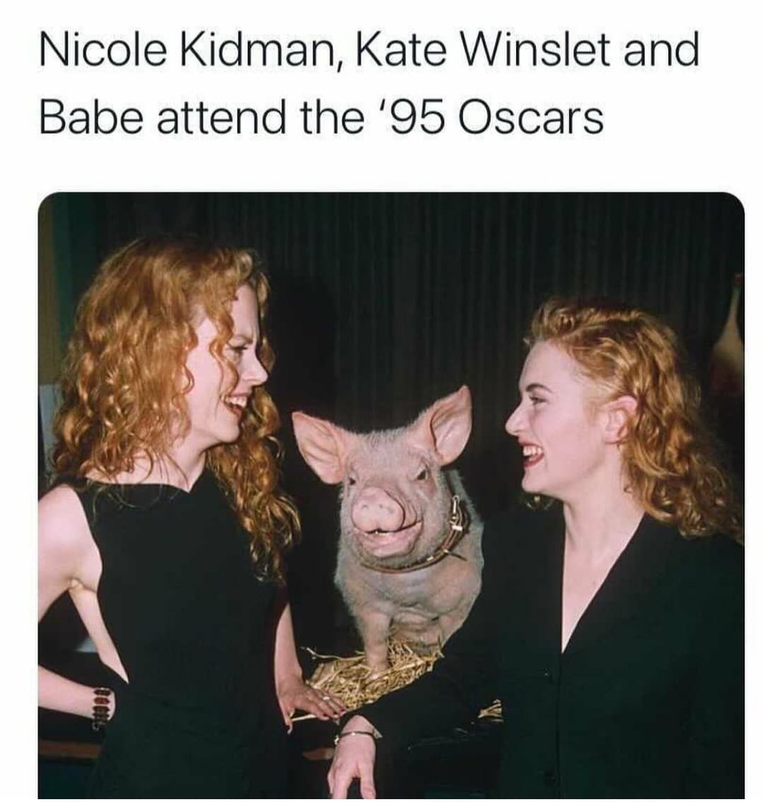 monday morning randomness - photo caption - Nicole Kidman, Kate Winslet and Babe attend the '95 Oscars Uggel