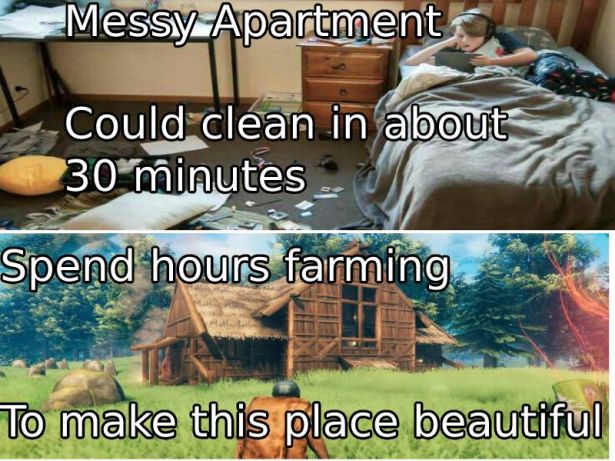 funny gaming memes  - grass - Messy Apartment Could clean in about 30 minutes Spend hours farming To make this place beautiful