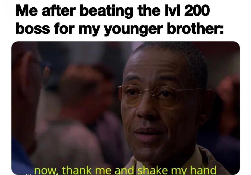 funny gaming memes - photo caption - Me after beating the lvl 200 boss for my younger brother now, thank me and shake my hand