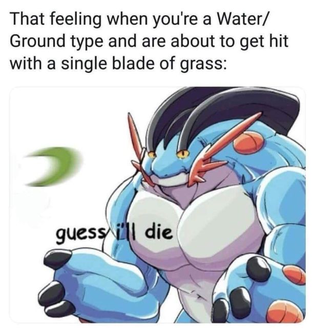 funny gaming memes - pokemon memes swampert - That feeling when you're a Water Ground type and are about to get hit with a single blade of grass guess i'll die