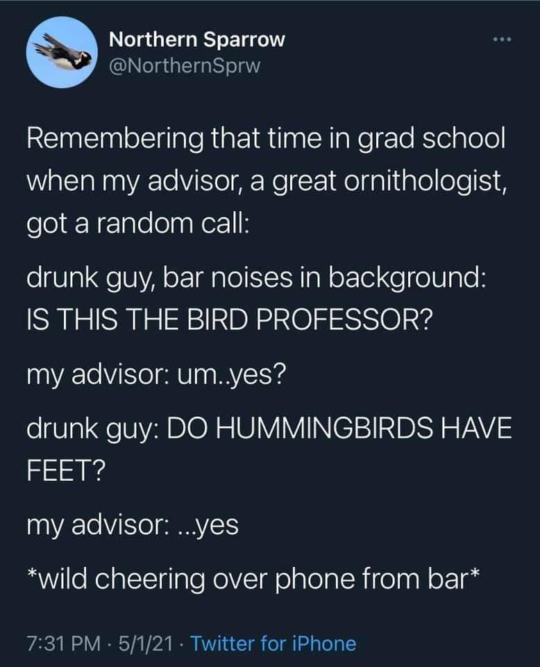 bird professor meme - Northern Sparrow Sprw Remembering that time in grad school when my advisor, a great ornithologist, got a random call drunk guy, bar noises in background Is This The Bird Professor? my advisor um..yes? drunk guy Do Hummingbirds Have F